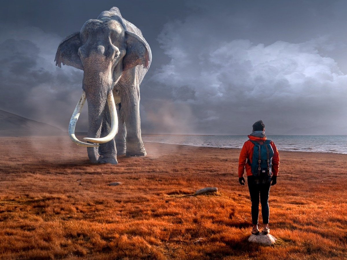 Arkham County is one of the most outlandish audio books I have ever come&nbsp;across