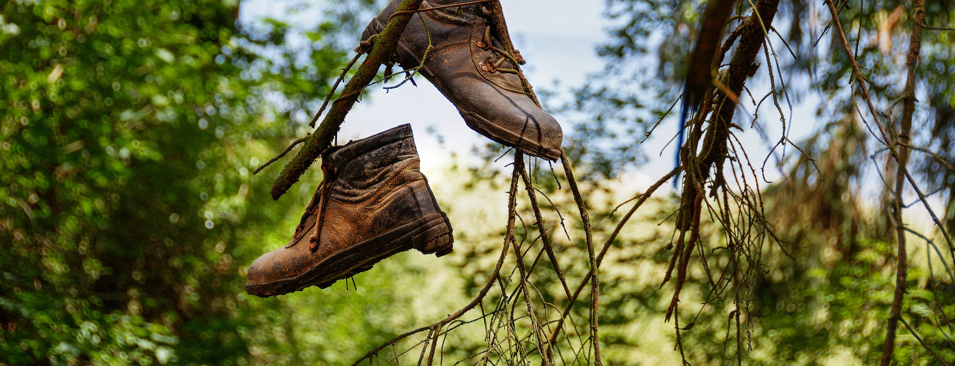 Shoes in wilderness