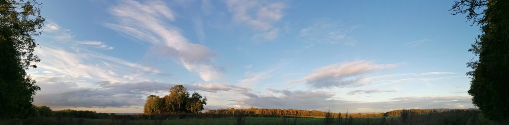 A wide shoot of field