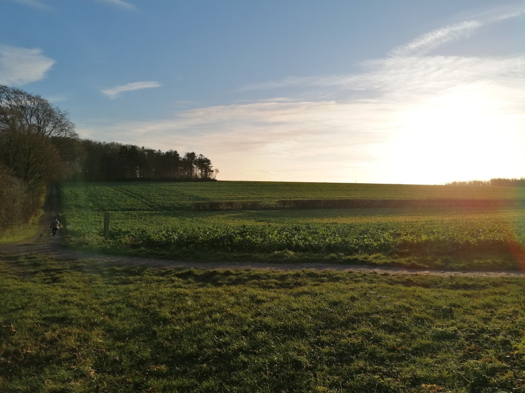 large sun over field 